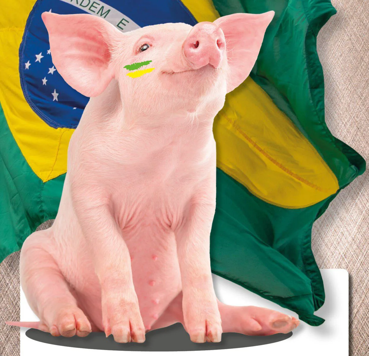 Máquinas e equipamentos para suinocultura